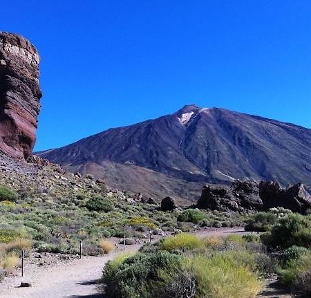 Marody Tenerife House エル・メダノ エクステリア 写真